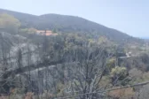Πάτρα: Έκκληση του Πολιτιστικού Συλλόγου Μπάλλα για στήριξη μετά τις πυρκαγιές