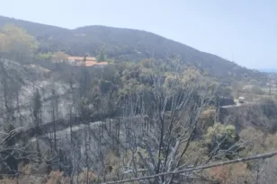 Πάτρα: Έκκληση του Πολιτιστικού Συλλόγου Μπάλλα για στήριξη μετά τις πυρκαγιές