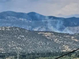 Φωκίδα: Φωτιά σε δάσος στο Καλό Πηγάδι - Σηκώθηκαν δύο ελικόπτερα