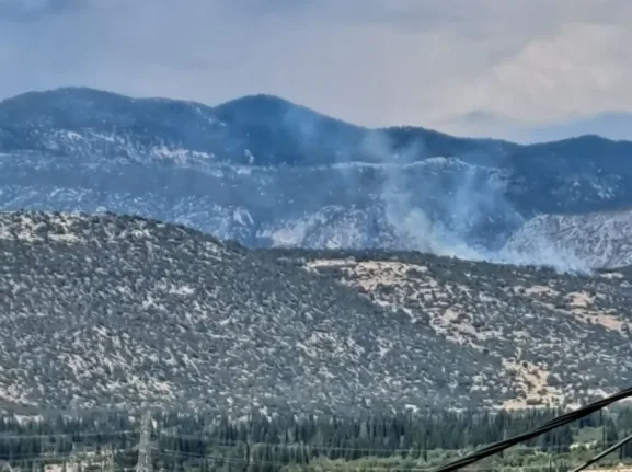 Φωκίδα: Φωτιά σε δάσος στο Καλό Πηγάδι - Σηκώθηκαν δύο ελικόπτερα