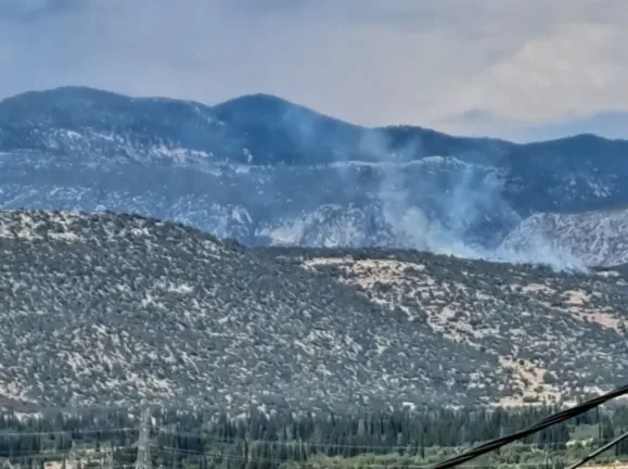 Φωκίδα: Φωτιά σε δάσος στο Καλό Πηγάδι - Σηκώθηκαν δύο ελικόπτερα