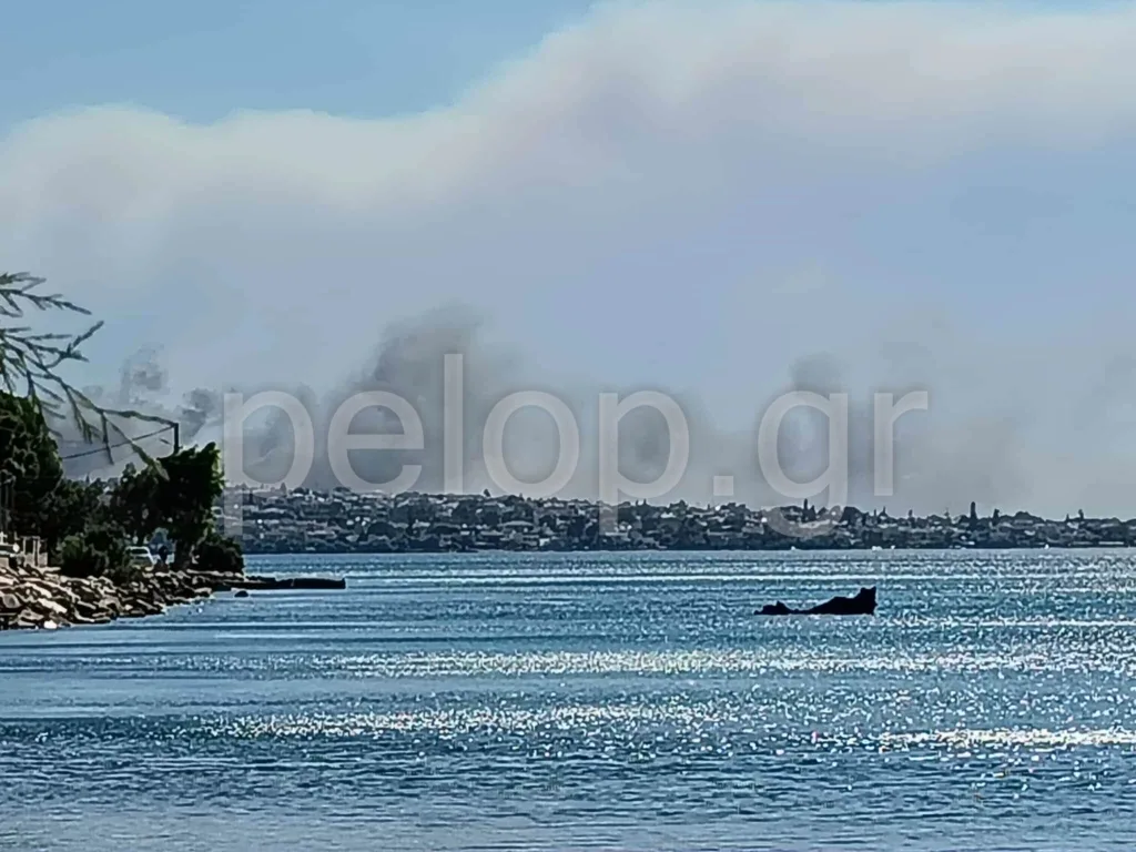 Πάτρα: Φωτιά ανάμεσα σε Αγιο Βασίλειο και Πλατάνι - Ηχησε το 112 - Κάηκαν και θερμοκήπια ΒΙΝΤΕΟ