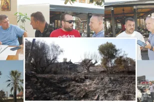 Οδοιπορικό της «Π» στα καμένα της Δυτικής Αχαΐας – «Να φυτρώσει ξανά η ελπίδα» ΦΩΤΟ