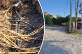 Πάτρα: Αυτοψίες Οικονόμου σε Βούντενη και Κάτω Συχαινά - Καταγγελίες για επικίνδυνες συνθήκες