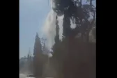Καμίνια Αχαΐας: Ρίψη νερού από ελικόπτερο ‘γονάτισε’ δέντρα πάνω στον δρόμο ΒΙΝΤΕΟ