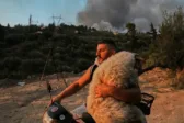 Από τη φλόγα στη θαλπωρή: Η Μέλπω, το πρόβατο από την καμένη Πάτρα, βρίσκει νέο σπίτι και συντροφιά μετά τη διάσωση
