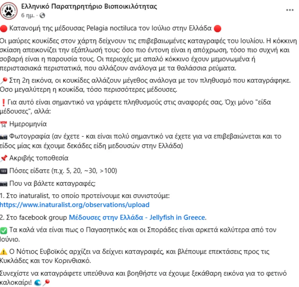 Δείτε live που βρίσκονται οι μωβ μέδουσες για να μην πάτε! ΧΑΡΤΕΣ, ΦΩΤΟ