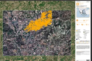 Ηλεία: Στάχτη έγιναν από την πυρκαγιά 7.950 στρέμματα