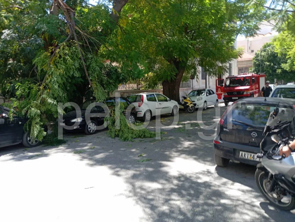 Ισχυροί άνεμοι στην Πάτρα: Κλάρα δέντρου έσπασε και έπεσε πίσω από τον Ι.Ν. Αγίου Ανδρέα