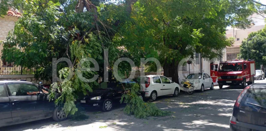 Ισχυροί άνεμοι στην Πάτρα: Κλάρα δέντρου έσπασε και έπεσε πίσω από τον Ι.Ν. Αγίου Ανδρέα