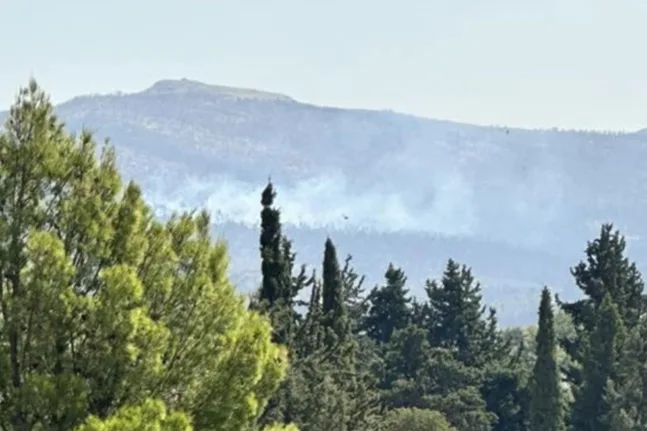 Μεγάλη φωτιά σε δασική έκταση στο Πάνακτο Βοιωτίας – Ισχυρές δυνάμεις στο σημείο