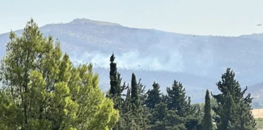 Μεγάλη φωτιά σε δασική έκταση στο Πάνακτο Βοιωτίας – Ισχυρές δυνάμεις στο σημείο Μεγάλη φωτιά σε δασική έκταση στο Πάνακτο Βοιωτίας – Ισχυρές δυνάμεις στο σημείο