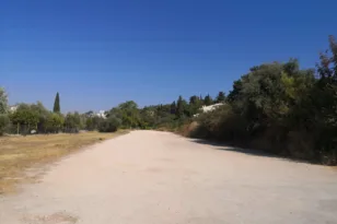 “Ζούγκλα” μόνο από τη μια μεριά του δρόμου