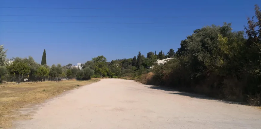 "Ζούγκλα" μόνο από τη μια μεριά του δρόμου "Ζούγκλα" μόνο από τη μια μεριά του δρόμου
