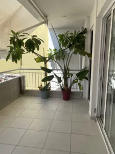 ΘΕΜΙΣΤΟΚΛΕΟΥΣ