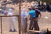 Ευλογιά χτύπησε την Αχαΐα: Μέχρι στιγμής τα νεκρά ζώα ανέρχονται σε 80 - Συναγερμός σε 3 κτηνοτροφικές μονάδες στη Λακκόπετρα