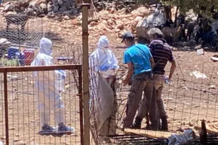 Ευλογιά χτύπησε την Αχαΐα: Μέχρι στιγμής τα νεκρά ζώα ανέρχονται σε 80 – Συναγερμός σε 3 κτηνοτροφικές μονάδες στη Λακκόπετρα