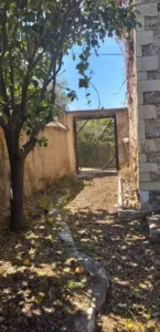 ΕΛΙΚΗ