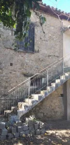 ΕΛΙΚΗ