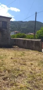 ΕΛΙΚΗ