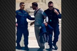 Πλεύρης για μετανάστη που επιτέθηκε σε Εύζωνες: Καμία ανοχή σε τέτοιες συμπεριφορές ΒΙΝΤΕΟ