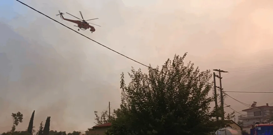 Σία Αναγνωστοπούλου: Φωτήλα, έλα να δούμε μαζί τα 16 αεροπλάνα στην Πάτρα»! Σία Αναγνωστοπούλου: Φωτήλα, έλα να δούμε μαζί τα 16 αεροπλάνα στην Πάτρα»!