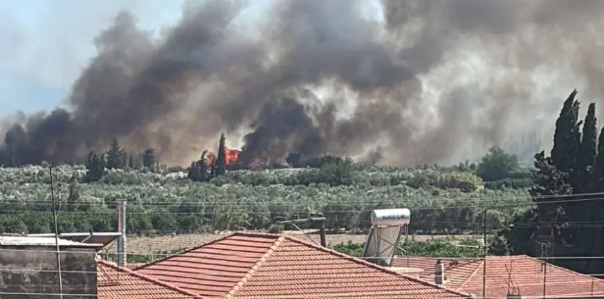 Μεγάλη φωτιά στον Γαλατά Ναυπακτίας: Ηχησε το 112 - Απειλούνται καλλιέργειες ΒΙΝΤΕΟ