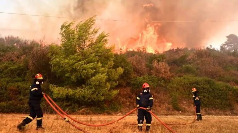 Μάχη με τις φλόγες στο Λεοντάρι Αρκαδίας – Εναέρια και επίγεια μέσα στο μέτωπο Μάχη με τις φλόγες στο Λεοντάρι Αρκαδίας – Εναέρια και επίγεια μέσα στο μέτωπο