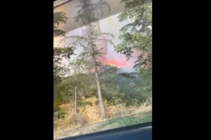 Φωτιά στην Αχαΐα: Καταγγελία για καθυστέρηση εναέριων μέσων στη φωτιά της ΒΙΠΕ Πατρών