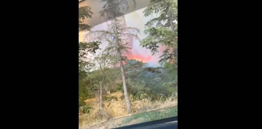 Φωτιά στην Αχαΐα: Καταγγελία για καθυστέρηση εναέριων μέσων στη φωτιά της ΒΙΠΕ Πατρών