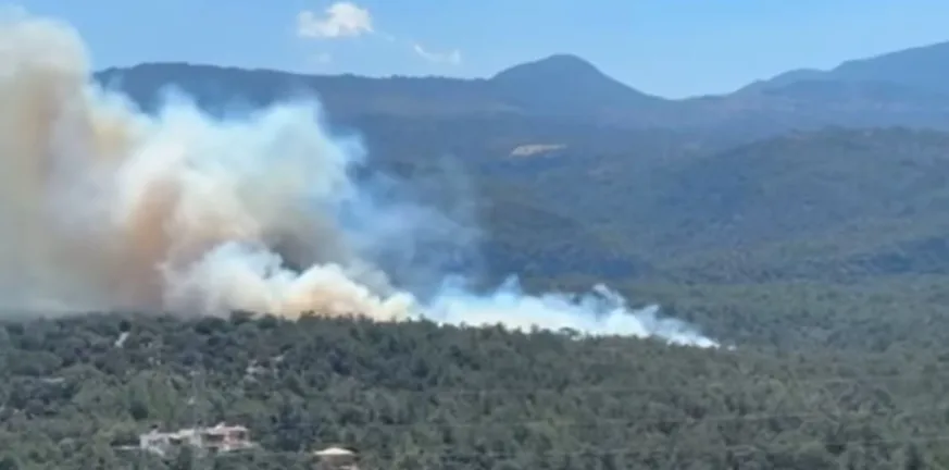 Λασίθι: Φωτιά σε πλήρη εξέλιξη σε δασική έκταση στον Άγιο Νικόλαο