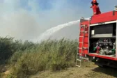 Υπόνοιες εμπρησμού για τις φωτιές σε Αιτωλοακαρνανία και Πρέβεζα – Στο σημείο ειδικά κλιμάκια