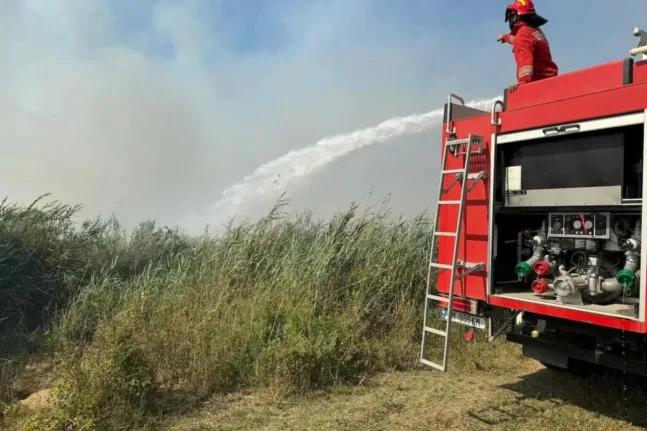 Αλβανία: Συνεχίζεται η μάχη με τις φλόγες - Έστειλε βοήθεια η Ελλάδα