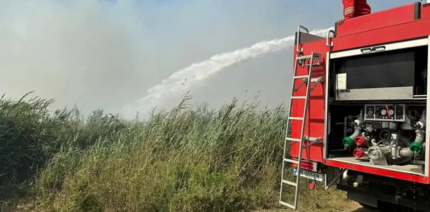 Αλβανία: Συνεχίζεται η μάχη με τις φλόγες - Έστειλε βοήθεια η Ελλάδα Αλβανία: Συνεχίζεται η μάχη με τις φλόγες - Έστειλε βοήθεια η Ελλάδα