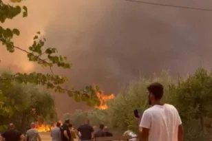 Πυρκαγιά στην Αχαΐα: Διένυσε 25χλμ. καίγοντας σπίτια, επιχειρήσεις και καλλιέργεις ΦΩΤΟΡΕΠΟΡΤΑΖ