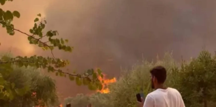 Πυρκαγιά στην Αχαΐα: Διένυσε 25χλμ. καίγοντας σπίτια, επιχειρήσεις και καλλιέργεις ΦΩΤΟΡΕΠΟΡΤΑΖ