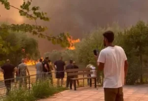 Πυρκαγιά στην Αχαΐα: Διένυσε 25χλμ. καίγοντας σπίτια, επιχειρήσεις και καλλιέργεις ΦΩΤΟΡΕΠΟΡΤΑΖ
