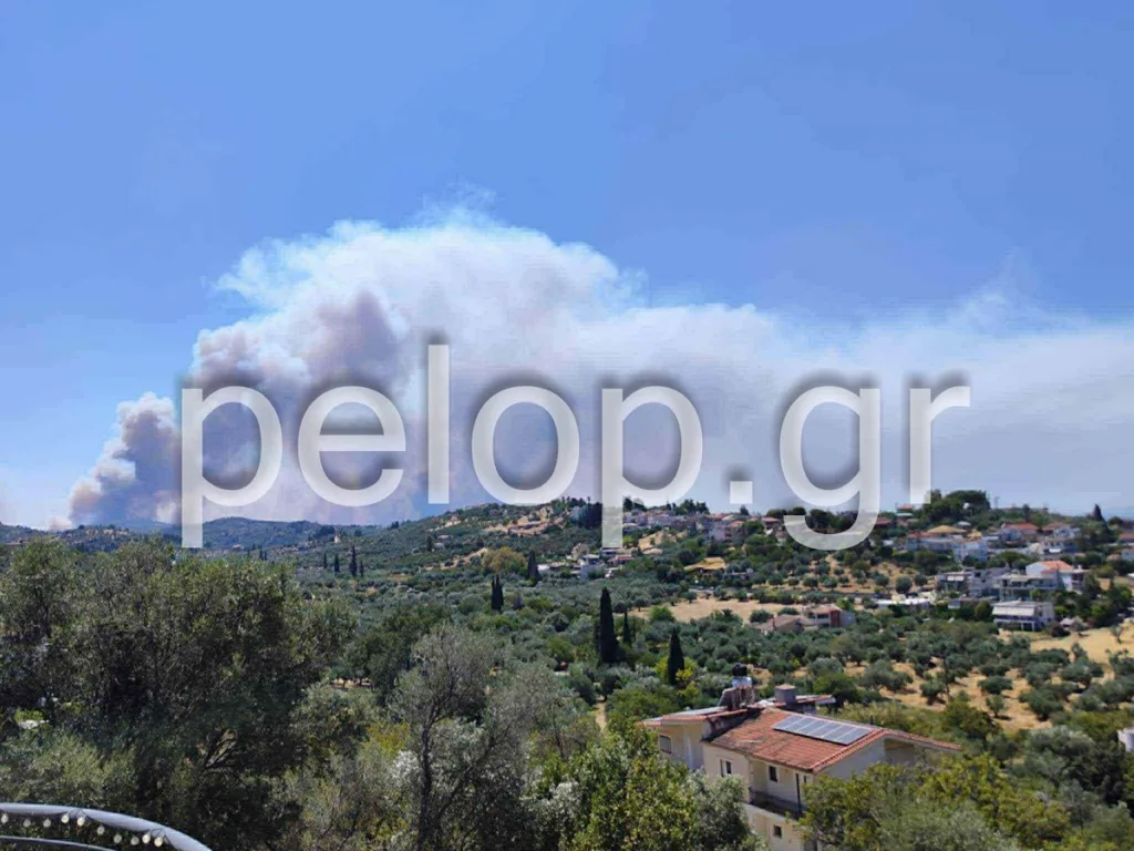 Αχαΐα: Φωτιά στον Ερυμάνθο και στα Μοιραίικα Πατρών - Απανωτά 112, εκκενώνονται συνεχώς οικισμοί, διακοπή κυκλοφορίας στην Εθνική, αναφορές για εγκαυματίες ΦΩΤΟ ΒΙΝΤΕΟ