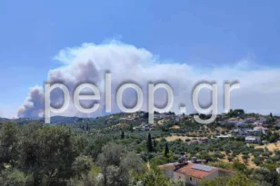 Το Εργατικό Κέντρο για τη φωτιά στην Αχαΐα: «Διαχρονικές ευθύνες απουσίας»