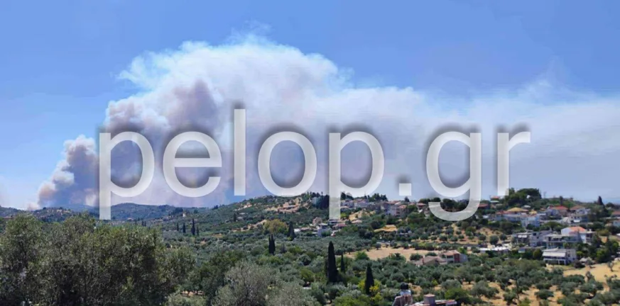 Το Εργατικό Κέντρο για τη φωτιά στην Αχαΐα: «Διαχρονικές ευθύνες απουσίας»