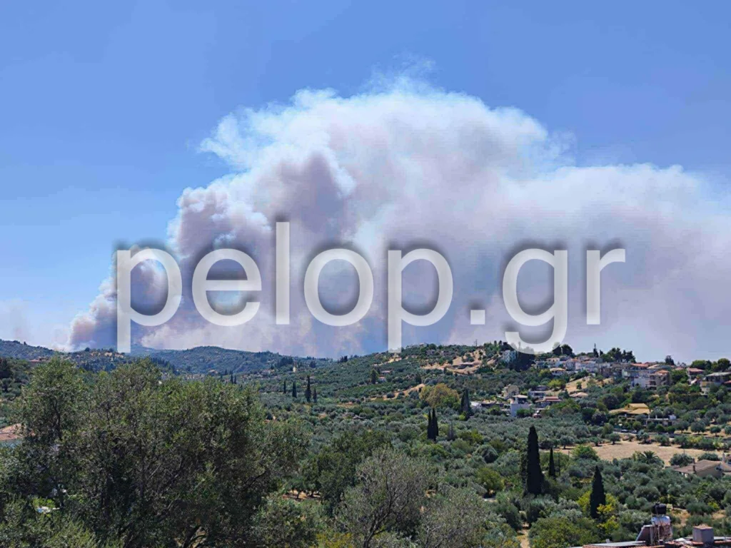 Αχαΐα: Φωτιά στον Ερυμάνθο και στα Μοιραίικα Πατρών - Απανωτά 112, εκκενώνονται συνεχώς οικισμοί, διακοπή κυκλοφορίας στην Εθνική, αναφορές για εγκαυματίες ΦΩΤΟ ΒΙΝΤΕΟ