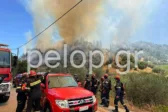 Αχαΐα: Φωτιά στον Ερυμάνθο και στα Μοιραίικα Πατρών – Ισχυρές πυροσβεστικές δυνάμεις στο σημείο, ορατοί οι καπνοί μέχρι την Πάτρα, εστάλη 112, εκκενώνονται χωριά ΦΩΤΟ ΒΙΝΤΕΟ