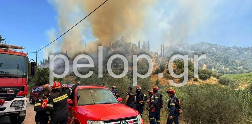 Αχαΐα: Φωτιά στον Ερυμάνθο και στα Μοιραίικα Πατρών - Απανωτά 112, εκκενώνονται συνεχώς οικισμοί, διακοπή κυκλοφορίας στην Εθνική, αναφορές για εγκαυματίες ΦΩΤΟ ΒΙΝΤΕΟ Αχαΐα: Φωτιά στον Ερυμάνθο και στα Μοιραίικα Πατρών - Απανωτά 112, εκκενώνονται συνεχώς οικισμοί, διακοπή κυκλοφορίας στην Εθνική, αναφορές για εγκαυματίες ΦΩΤΟ ΒΙΝΤΕΟ