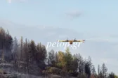 Πυρκαγιά στο Ευνηνοχώρι: Χωρίς ενεργό μέτωπο μεγάλη η μάχη και μεγάλη η νίκη με τις φλόγες! ΦΩΤΟ