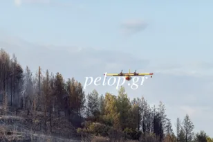 Πυρκαγιά στο Ευνηνοχώρι: Χωρίς ενεργό μέτωπο μεγάλη η μάχη και μεγάλη η νίκη με τις φλόγες! ΦΩΤΟ