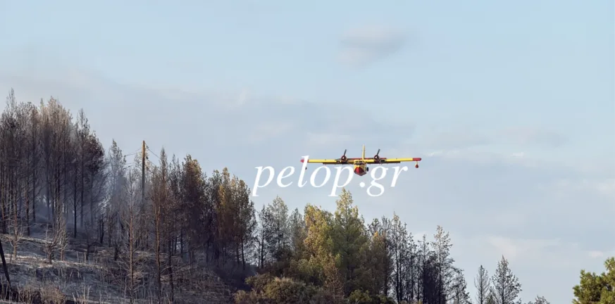 Πυρκαγιά στο Ευνηνοχώρι: Χωρίς ενεργό μέτωπο μεγάλη η μάχη και μεγάλη η νίκη με τις φλόγες! ΦΩΤΟ Πυρκαγιά στο Ευνηνοχώρι: Χωρίς ενεργό μέτωπο μεγάλη η μάχη και μεγάλη η νίκη με τις φλόγες! ΦΩΤΟ