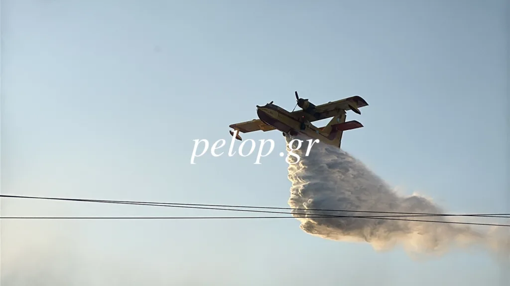 Πυρκαγιά στο Ευνηνοχώρι: Χωρίς ενεργό μέτωπο μεγάλη η μάχη και μεγάλη η νίκη με τις φλόγες! ΦΩΤΟ