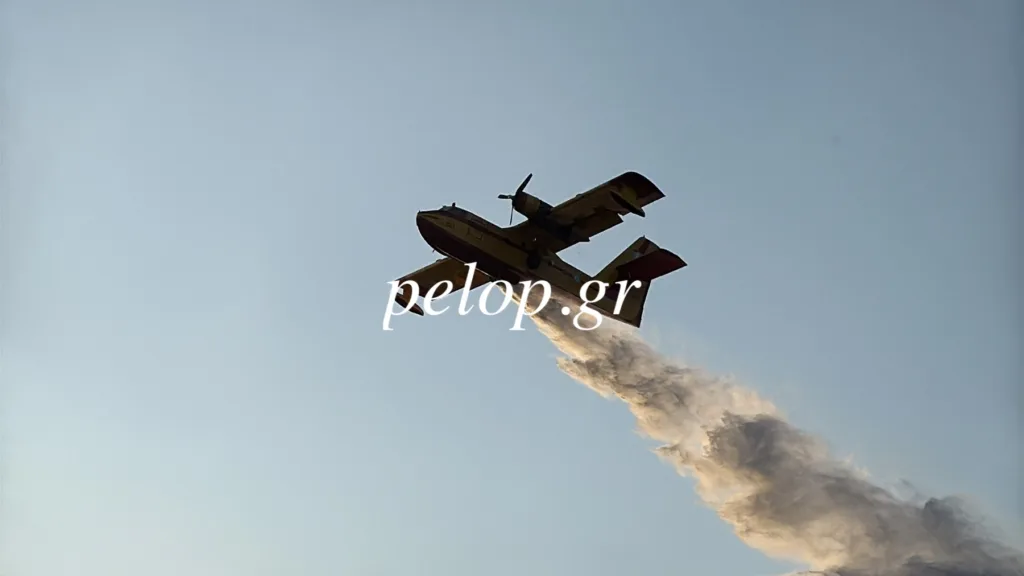 Πυρκαγιά στο Ευνηνοχώρι: Χωρίς ενεργό μέτωπο μεγάλη η μάχη και μεγάλη η νίκη με τις φλόγες! ΦΩΤΟ
