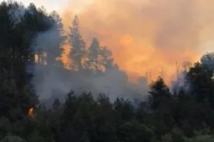 Πυρκαγιά στα Γρεβενά σε τέσσερις εστίες! ΦΩΤΟ, ΒΙΝΤΕΟ