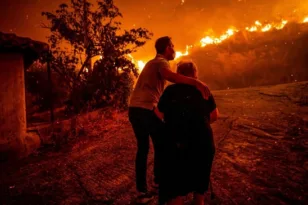 Ύφεση στα μέτωπα στο Χελιδόνι Ηλείας: Σε επιφυλακή οι δυνάμεις λόγω αναζωπυρώσεων και ανέμων